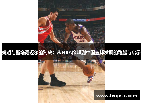 姚明与斯塔德迈尔的对决：从NBA巅峰到中国篮球发展的跨越与启示